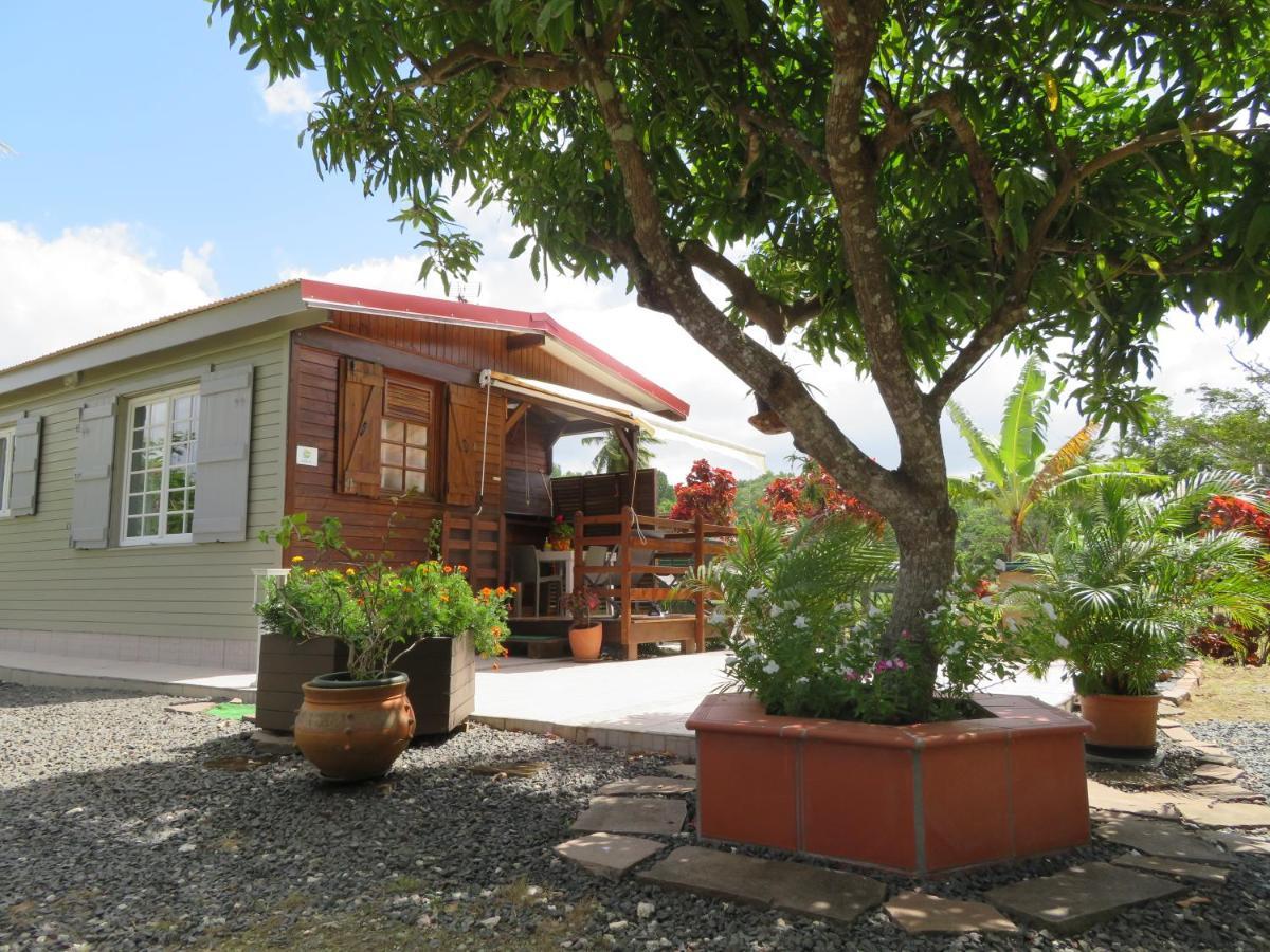 Bungalow Des Paletuviers Morne-a-l'Eau Dış mekan fotoğraf